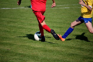 九游娱乐下载-国家队与俱乐部之间协调机制为何不顺畅，国家队比赛和俱乐部比赛冲突